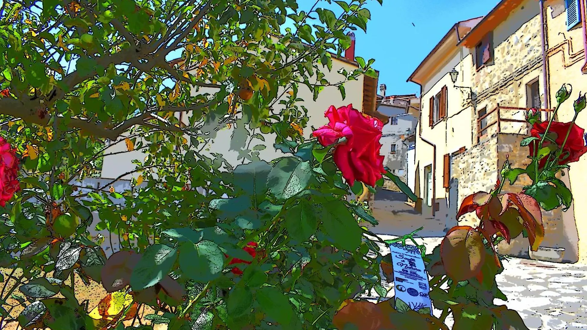 Home L'Upupa Amiata Salaiola 0*,