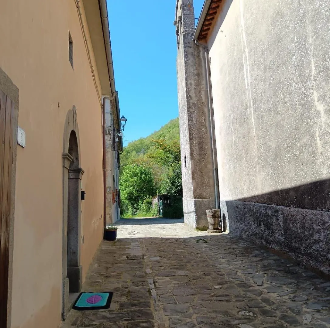 Ferienhaus Home L'Upupa Amiata Salaiola